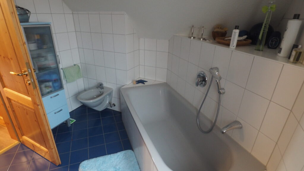 Badezimmer Renovierung